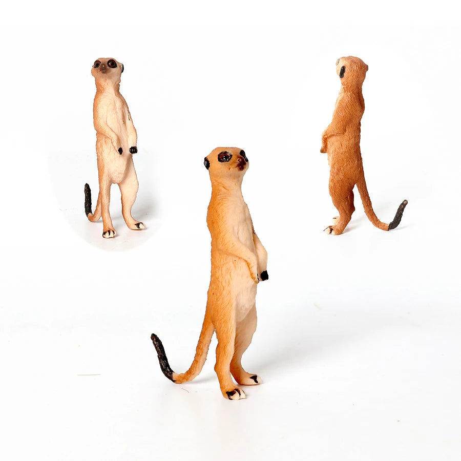 Realistic Woodland Creatures Figurines Toys Raccoon,Beavers ,Badger,Anteater,Platypus Easter Eggs Education Birthday Gift