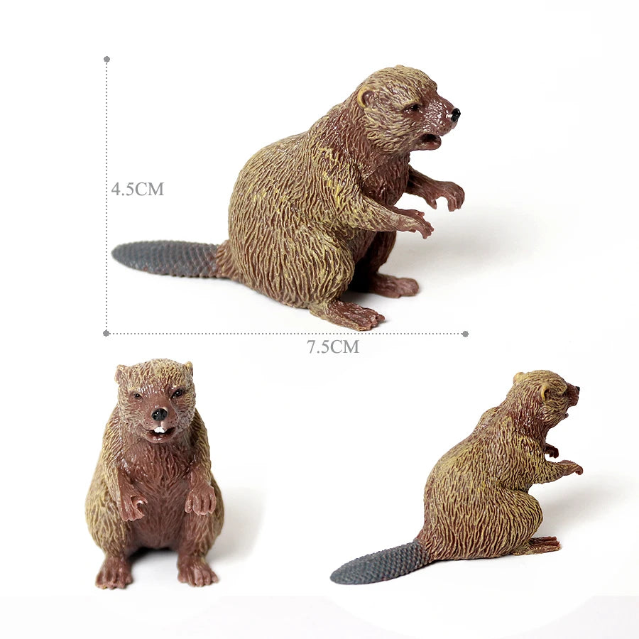 Realistic Woodland Creatures Figurines Toys Raccoon,Beavers ,Badger,Anteater,Platypus Easter Eggs Education Birthday Gift