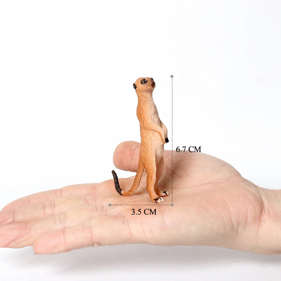 Realistic Woodland Creatures Figurines Toys Raccoon,Beavers ,Badger,Anteater,Platypus Easter Eggs Education Birthday Gift